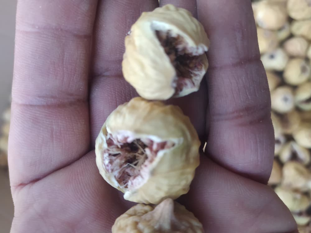 تصویر 1 از مرکز پخش انجیر با کیفیت استان فارس به سراسر جهان